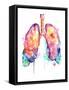 Framed Canvas