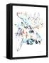 Framed Canvas