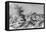 Lisbon Earthquake, 19th Century Artwork-Science Photo Library-Framed Stretched Canvas
