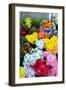 Lisbon, Portugal. Flower stall at Rossio Square-Julien McRoberts-Framed Photographic Print