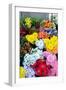 Lisbon, Portugal. Flower stall at Rossio Square-Julien McRoberts-Framed Photographic Print