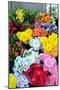 Lisbon, Portugal. Flower stall at Rossio Square-Julien McRoberts-Mounted Photographic Print