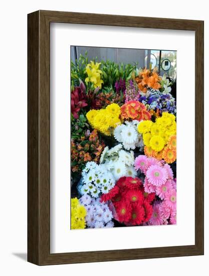 Lisbon, Portugal. Flower stall at Rossio Square-Julien McRoberts-Framed Photographic Print