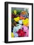 Lisbon, Portugal. Flower stall at Rossio Square-Julien McRoberts-Framed Photographic Print