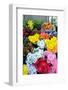 Lisbon, Portugal. Flower stall at Rossio Square-Julien McRoberts-Framed Photographic Print