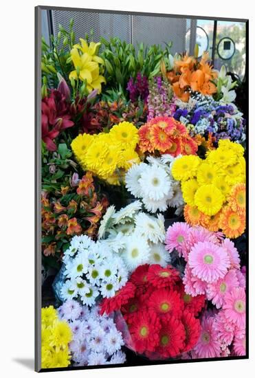 Lisbon, Portugal. Flower stall at Rossio Square-Julien McRoberts-Mounted Photographic Print