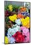 Lisbon, Portugal. Flower stall at Rossio Square-Julien McRoberts-Mounted Photographic Print