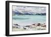 Lisemore and Morven from Mull-Francis Campbell Boileau Cadell-Framed Premium Giclee Print