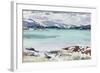 Lisemore and Morven from Mull-Francis Campbell Boileau Cadell-Framed Giclee Print