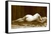 Liseuse-J. Seeberger-Framed Stretched Canvas