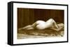 Liseuse-J. Seeberger-Framed Stretched Canvas