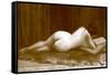 Liseuse-J. Seeberger-Framed Stretched Canvas