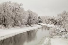 Winter River Ducks-lishansky-Photographic Print