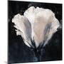 Lisianthus Sketch-Malcolm Sanders-Mounted Giclee Print