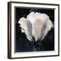 Lisianthus Sketch-Malcolm Sanders-Framed Giclee Print