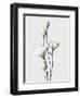 Lisianthus White-Design Fabrikken-Framed Photographic Print