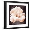 Lisianthus-Christine Zalewski-Framed Art Print