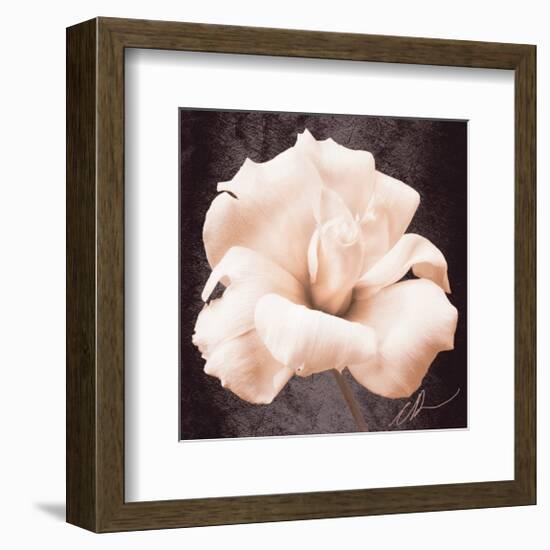 Lisianthus-Christine Zalewski-Framed Art Print