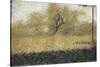 Lisière de bois au printemps-Georges Seurat-Stretched Canvas