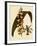 Lissochilus Krebsii Var. Purpuratus-John Nugent Fitch-Framed Giclee Print
