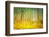 Listen Closely To The Wind-Janet Slater-Framed Photographic Print