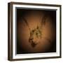 Listening Hare-Tim Kahane-Framed Photographic Print