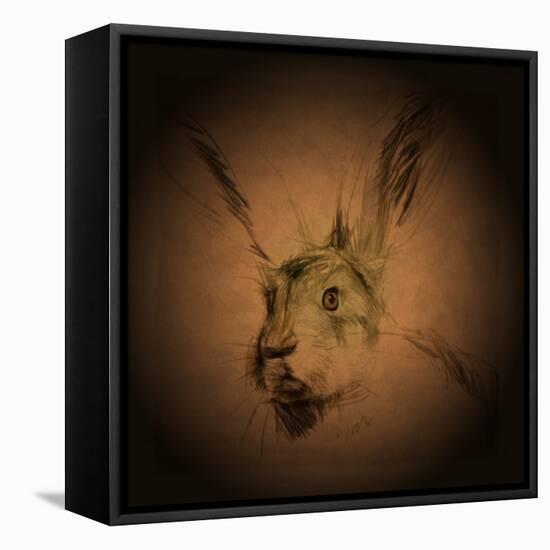 Listening Hare-Tim Kahane-Framed Stretched Canvas