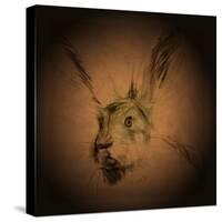 Listening Hare-Tim Kahane-Stretched Canvas