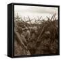 Canvas Black