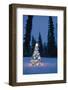 Lit Christmas Tree In Snow Outside During Winter At Twilight In Fairbanks, Alaska-Design Pics-Framed Photographic Print