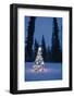 Lit Christmas Tree In Snow Outside During Winter At Twilight In Fairbanks, Alaska-Design Pics-Framed Photographic Print