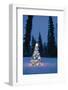 Lit Christmas Tree In Snow Outside During Winter At Twilight In Fairbanks, Alaska-Design Pics-Framed Photographic Print