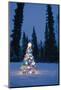 Lit Christmas Tree In Snow Outside During Winter At Twilight In Fairbanks, Alaska-Design Pics-Mounted Photographic Print