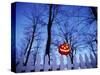 Lit Jack o'-Lantern Perched on Picket Fence-Ralph Morsch-Stretched Canvas