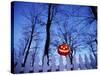 Lit Jack o'-Lantern Perched on Picket Fence-Ralph Morsch-Stretched Canvas