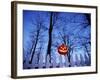 Lit Jack o'-Lantern Perched on Picket Fence-Ralph Morsch-Framed Photographic Print