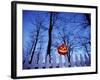 Lit Jack o'-Lantern Perched on Picket Fence-Ralph Morsch-Framed Photographic Print