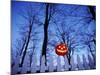 Lit Jack o'-Lantern Perched on Picket Fence-Ralph Morsch-Mounted Photographic Print