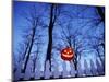 Lit Jack o'-Lantern Perched on Picket Fence-Ralph Morsch-Mounted Photographic Print