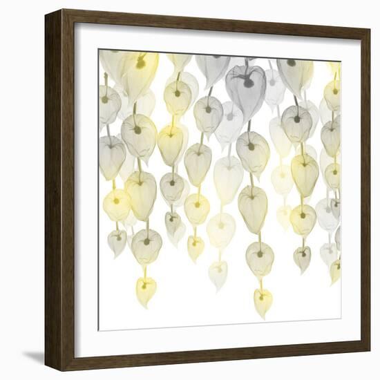 Lit Lantern Cascade 2-Albert Koetsier-Framed Photographic Print