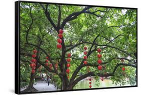 Litchi Bay Walkway and Park, Guangzhou, China-Stuart Westmorland-Framed Stretched Canvas