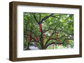 Litchi Bay Walkway and Park, Guangzhou, China-Stuart Westmorland-Framed Photographic Print