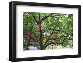 Litchi Bay Walkway and Park, Guangzhou, China-Stuart Westmorland-Framed Photographic Print