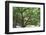 Litchi Bay Walkway and Park, Guangzhou, China-Stuart Westmorland-Framed Photographic Print