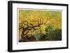 Lithia Park Arching Maple-Donald Paulson-Framed Giclee Print