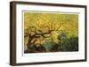 Lithia Park Arching Maple-Donald Paulson-Framed Giclee Print