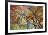 Lithia Park Fall 3-Don Paulson-Framed Giclee Print