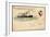 Litho S. S.Vaderland, Red Star Line, Royal Mail Steamer-null-Framed Giclee Print