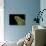 Lithobates Pipiens (Northern Leopard Frog)-Paul Starosta-Photographic Print displayed on a wall