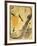 Lithograph Jane Avril, 1893-Henri de Toulouse-Lautrec-Framed Giclee Print